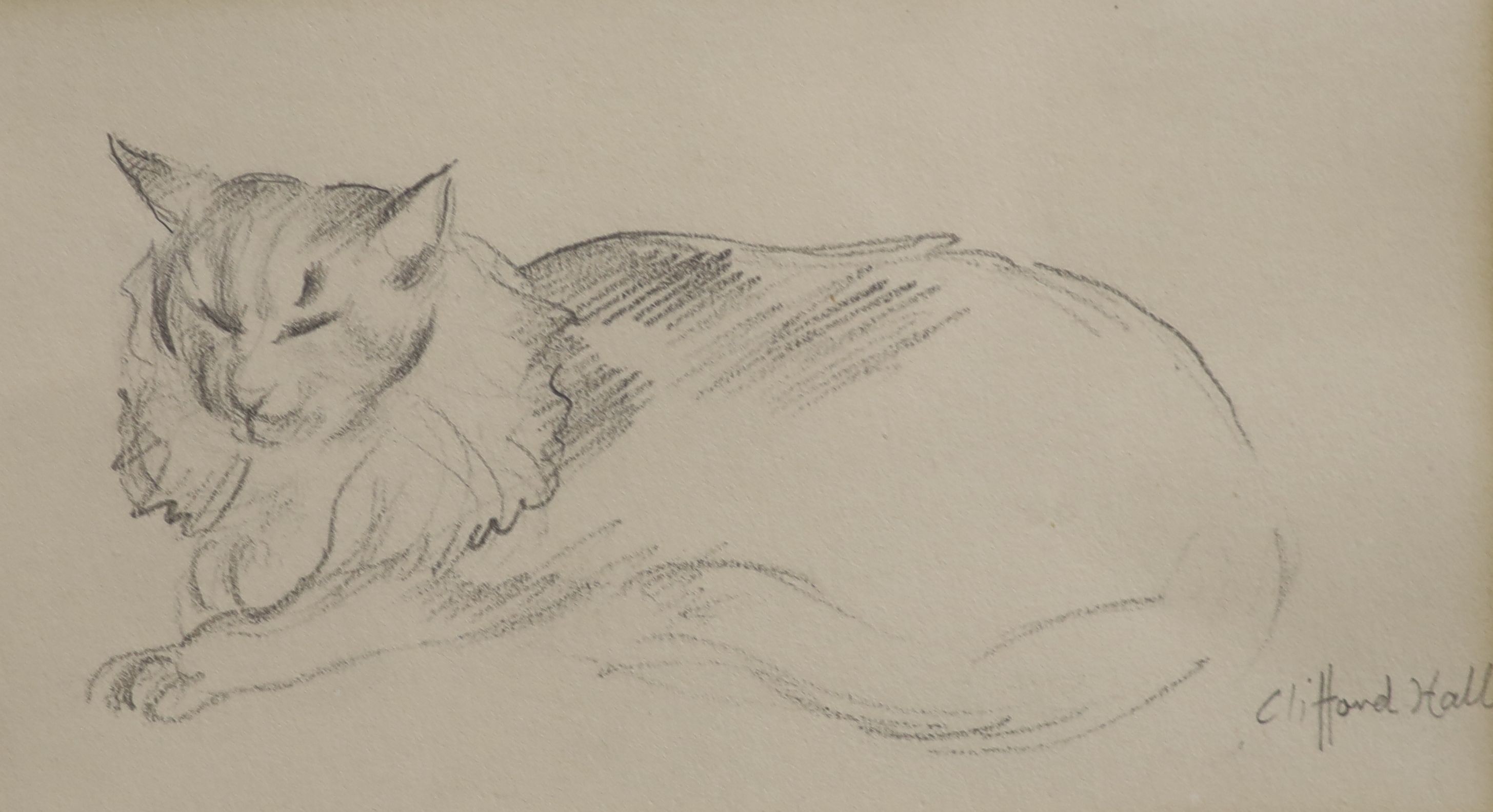 Clifford Hall (1904-1973), two pencil and chalk drawings, Studies of cats, signed, 18 x 25cm and 10 x 18cm